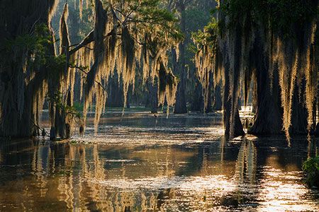 Public hearing scheduled for Bayou Bridge pipeline