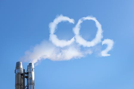 Natural carbon sinks absorb 40% of human CO2 emissions and are not valued in most climate models, says Wood Mackenzie