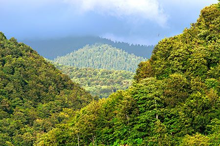 NEXUS pipeline is not an environmental threat, FERC states
