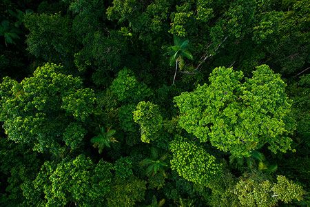 COP30: Oil & Gas Decarbonisation Charter sustains momentum with annual report launch