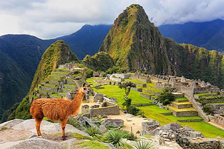 Peru's Petroperu considers pipeline link for Ecuador oil